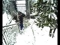 TUFFO NELLA NEVE  (JL5)