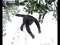 TUFFO NELLA NEVE  (JL5)