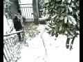 videos de TUFFO NELLA NEVE  (JL5)