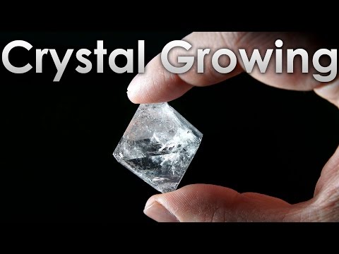 how to grow alum crystals