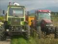 moisson de tournesol 2008