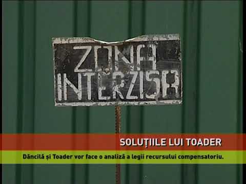 Dăncilă și Toader vor face o analiză a legii recursului compensatoriu
