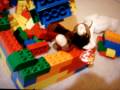 beanie baby war