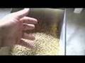 All Grain Home Brewing (1 of 8)