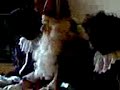 Sinterklaas Fam. Kok 2007 part 2