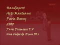 handisport arts martiaux paris bercy 2008