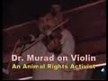 Dr. Murad Khan is playing violin in the Farewell Function in the honor of Lt Gen Shafaat Ullah Shah, founder CMH Lahore Medical College Pakistan. Playing a Punjabi folk tune lang aaja patan chanan da. Dr Murad is a medical graduate and t eaches biochemistry to medical students. He is a biomedical software developer. He is an animal rights activist and a vegetarian on moral basis.