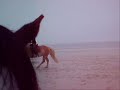 montage plage + balade