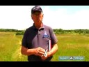 Get Started with Bird Watching : How to Keep Birding Records in a Field Notebook