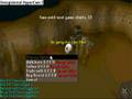 runescape imps