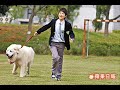 pics of hana kimi ?????? scenes