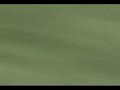 Fast Ford Focus 9.4 sec quarter mile