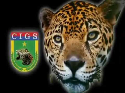GUERRA NA SELVA, BRASIL!