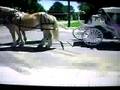 toreros musical