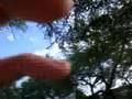 Kolian and Ihar part II