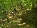 Downhill Baia Mare - Poiana