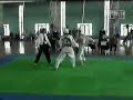 Naeki.cl - Taekwondo en el Car 98 Chile