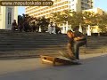 Haile skatin 2