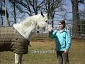 teddy-tribute.html