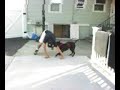 shadows trick