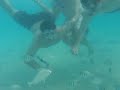 Leckys in Bermuda-underwater 2