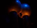 Van Der Graaf Generator