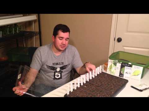 how to grow under lights