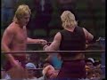 Sting vs. Terry Taylor UWF PPW