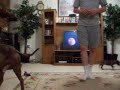 Tiny Doing Tricks Tiny Doing Tricks