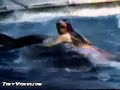 Killerwhale goes mad Killerwhale goes mad