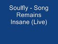 Soulfly - Song Remains Insane (Live)