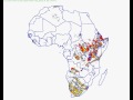 for oct 10 cloud phase over africa