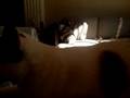 videos de PA070079.AVI