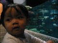 Nurin Iman Di Aquaria KLCC