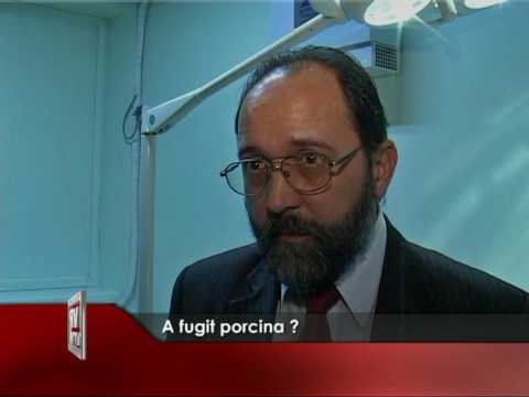 A fugit porcina?