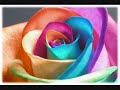 oh lord you're beautiful michael w. smith lyrics