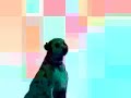 The Talking Dog