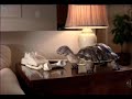 Lynnanne Zager is \"On Hold\" COMCAST commercial