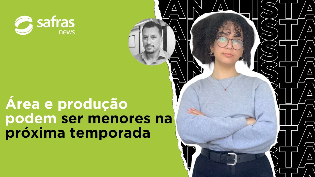 Safra brasileira de trigo corre risco? Entenda o impacto do El Niño