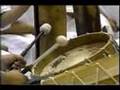 nonosina drumming comp '99