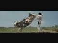 Kung Pow cow funny