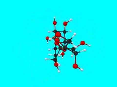 Sucrose Saccharose
