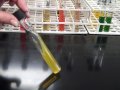 Microbiology Tube media PART 2