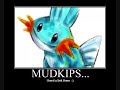 Walmart mudkipz prank