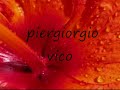 A todos mis subscriptores . To all my subscribers