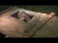 videos de Ash Island Barge Wreck