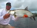 tarpon on drys tarpon on drys