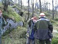 Elgjakt p� Seland