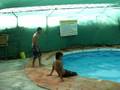 videos de ruben Kiko