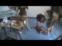 Mercules rebuilding a 350 in fast forward